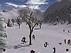 صورة 3